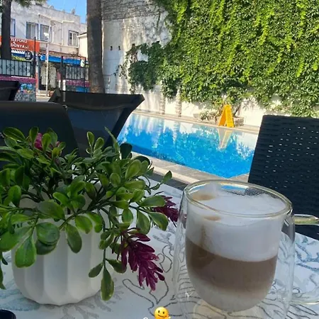 Kilavuz * Bodrum